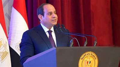 السيسي يكلف بانتقاء أفضل المواقع للصوامع من حيث قربها من الطرق والمحاور
