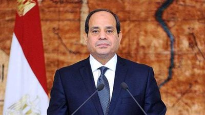 نجل عبد الناصر: السيسي يستكمل مسيرة التنمية المتوقفة منذ 40 عاما