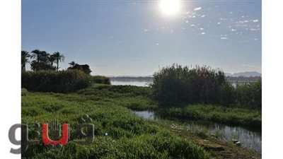 فيضان نهر النيل يهدد بغرق عشرات الأفدنة في قنا | صور