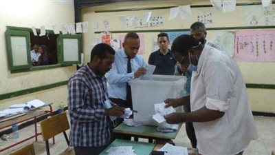 ننشر كشوف أسماء مرشحي مجلس النواب ورموزهم في أسوان | صور