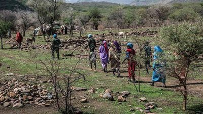 زعيمه يقيم في باريس.. الجيش السوداني يصد هجومًا لفصيل متمرد في دارفور