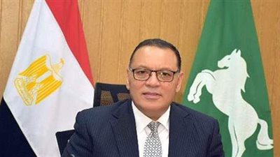 محافظ الشرقية يكشف تكاليف إنشاء 17 مشروعا تنمويا في منيا القمح