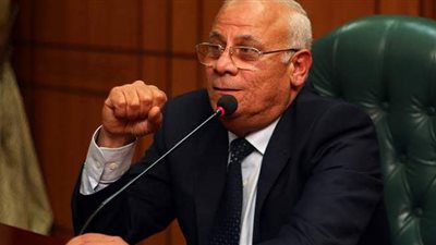 بورسعيد: تظلمات البطاقات الاستيرادية السبت المقبل