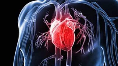 الصحة العالمية: التدخين يسبب ٢٠ % من أزمات القلب المميتة