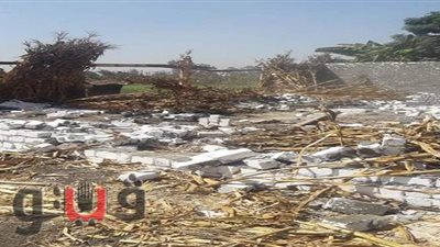 محافظ الشرقية يحذر المخالفين: 