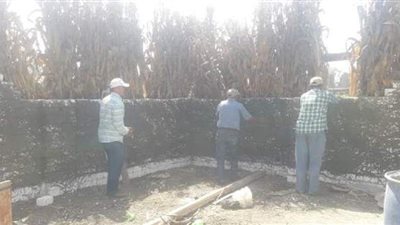 إزالة تعدى على ١٢٠ متر بمركز ههيا