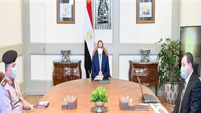 السيسي يكلف بتطوير قطاع النقل البحري لتحقيق أقصى عائد اقتصادي وتجاري لمصر