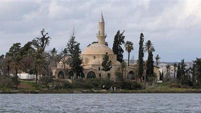 بحجة حماية ضريح ديني.. إمام متشدد مقرب من أردوغان يدعو لـ