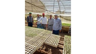 مدير معهد بحوث البساتين يتابع أعمال استنباط أصناف جديدة من هجن الطماطم