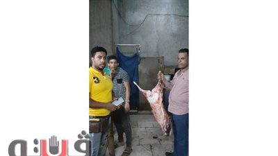 مصادرة لحوم مجهولة المصدر بحى شمال الجيزة| صور