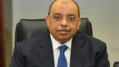 شعراوي: تدريب العاملين بإدارات الأزمات في المحافظات على التعامل مع السيول والأمطار