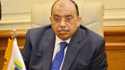 وزيرا التنمية المحلية والنقل يتابعان رصف الطرق المحلية بـ12 محافظة