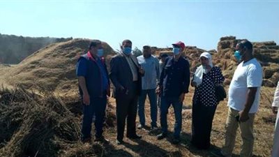 البيئة والزراعة تتابعان منظومة جمع وتدوير قش الأرز بالبحيرة