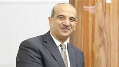 أسامة عبد الخالق: مكافحة الإرهاب تتصدر أولويات رئاسة مصر لمجلس الأمن الأفريقي | فيديو