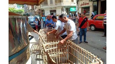 حملتين مكبرتين لإزالة تعديات الباعة الجائلين فى الإسكندرية