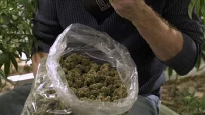 سنغالي يستعين بالشرطة في البحث عن حقيبة مخدرات مفقودة