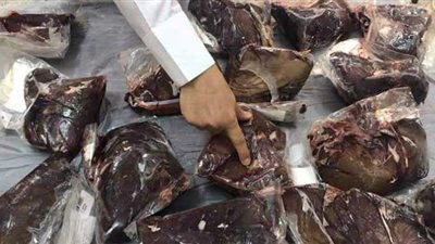 حبس أمين عهدة لحيازته 73 طن كبدة فاسدة بالإسكندرية