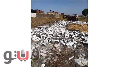 حملة لإزالة التعديات بقرية الزنكلون في الشرقية