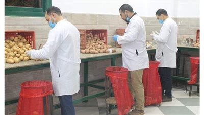 إنشاء قاعدة بيانات جغرافية لجميع ثلاجات حفظ تقاوي البطاطس لأول مرة في مصر