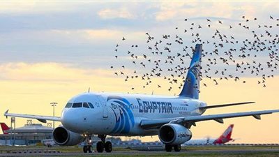 مصر للطيران تسير ٥٤ رحلة لنقل ٥٧٠٠ راكب