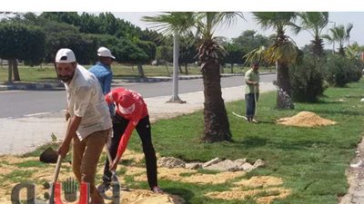 رفع كفاءة الطرق والمسطحات الخضراء بالإسماعيلية