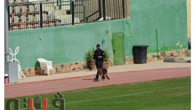 الكلاب البوليسية تمشط استاد طنطا قبل مباراة الديربي المحلاوي | صور