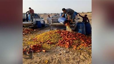 غلق 3 منشآت غذائية وإعدام 205 طن مخللات بالحسينية