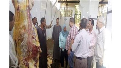 إعدام ذبيحة تزن 300 كيلو جرام مصابة بالسل بملوى