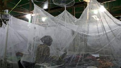 الملاريا تضرب مالي.. مصرع 23 شخصا وإصابة 13 ألفا آخرين خلال أسبوع