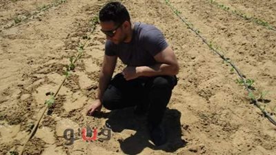 أستاذ بمركز بحوث الصحراء: هذه تفاصيل مشروعى البحثي لحقن التربة الرملية بالطين لزيادة الخصوبة وإحياء صحارى مصر ( حوار )