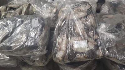 ضبط لحوم وأسماك فاسدة قبل طرحها للاستهلاك بالفيوم