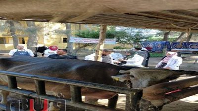 محافظ الغربية يتابع فعاليات القافلة الطبية البيطرية الرابعة بالقرشية