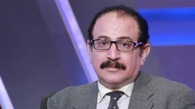 طارق فهمى يوضح ضوابط الوطنية للانتخابات بشأن التبرع للمرشحين