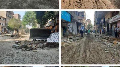 حملة لرفع الإشغالات بشارعي زغلول وصادق في الحوامدية |صور