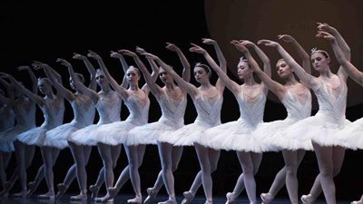 الأعلى للثقافة يناقش 