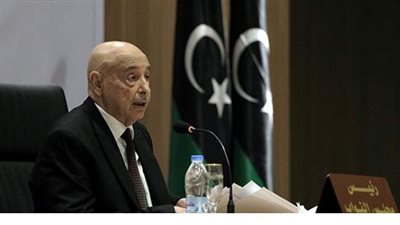 عقيلة صالح يبحث مع السفير الأمريكي توحيد مؤسسات ليبيا