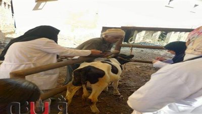 علاج 206 حالات  بالقافلة السادسة بقرية الغريب  احتفالا بالعيد القومي للغربية