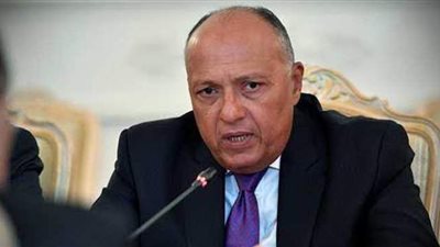 الخارجية: السماح للمصريين بالخارج باستخراج أو تجديد جواز السفر بصلاحية 3 سنوات بموجب شهادة الميلاد