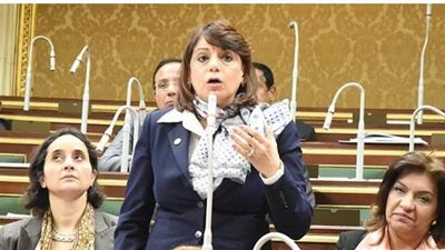 عضو تشريعية النواب تطالب المرشحين بالالتزام بالحد الأقصى للدعاية الانتخابية