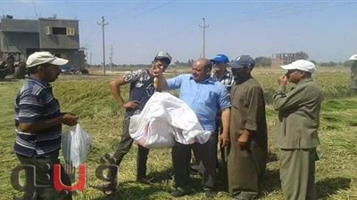 محافظ الشرقية: تنظيم ندوات عن طرق الزراعة الحديثة لترشيد المياه