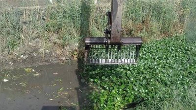 ري البحيرة تستعد للشتاء بتطهير ونزع حشائش المجاري المائية