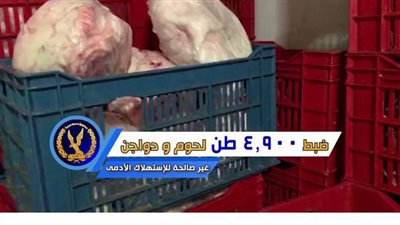 شاهد.. مباحث التموين تصادر أطنان من السلع الغذائية الفاسدة