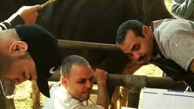 جهود مكثفة لـ