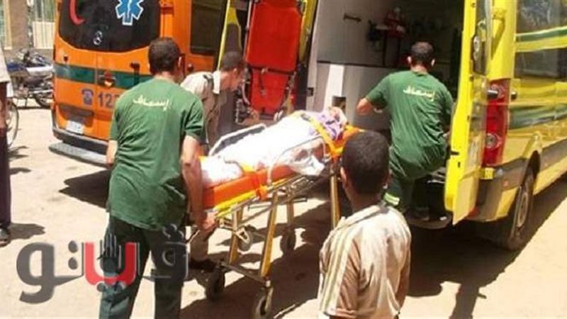 ارشيفية