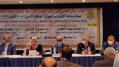 نائب رئيس جامعة الزقازيق تشارك في افتتاح فعاليات مؤتمر 