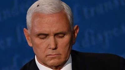 حملة بايدن تبيع 35 ألف مضرب حشرات بعد واقعة 