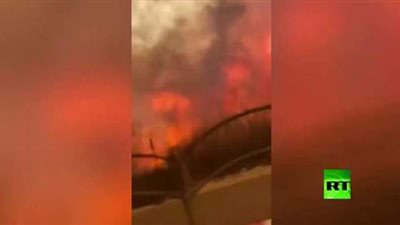 حرائق ضخمة تلتهم مناطق شمال إسرائيل |فيديو