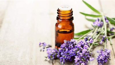 4 فوائد لن تتوقعها لزيت اللافندر تجعلك تستخدمينه بانتظام