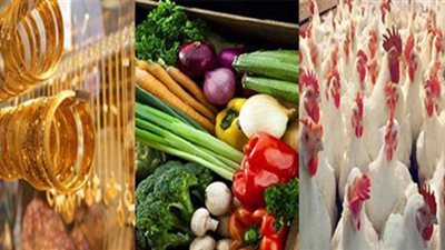 خبير يكشف أسباب تراجع التضخم لأدنى مستوى في ١٤ شهرا