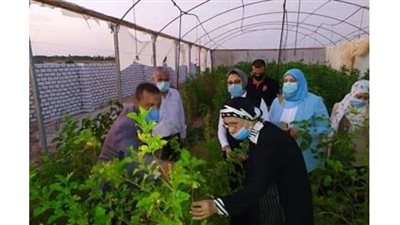 نائب محافظ الوادي الجديد تتابع سير العمل بمدرسة موط الزراعية ومشروع إنتاج الحرير